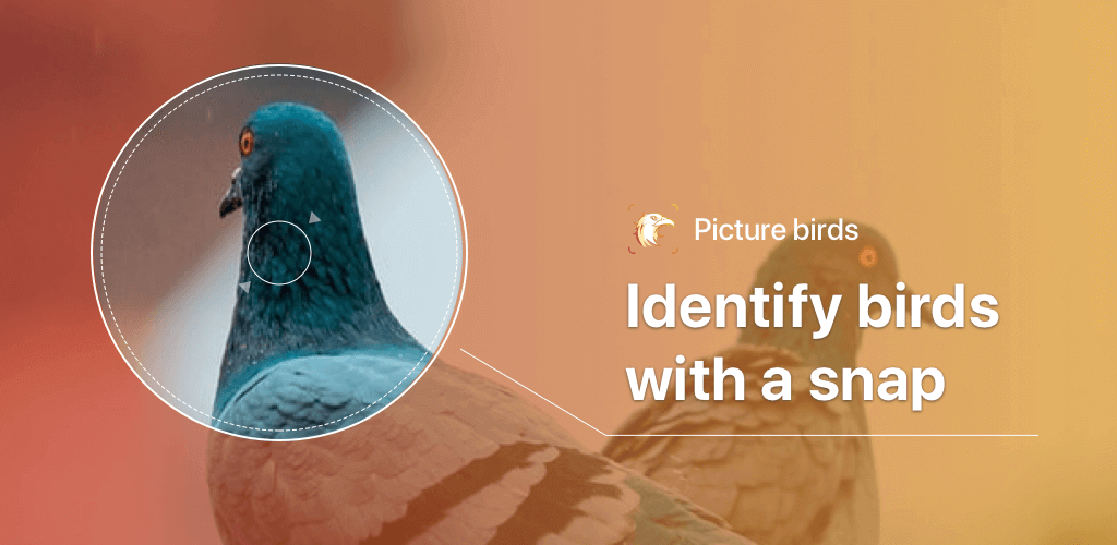 Picture Bird – Bird Identifier v2.9.7 MOD APK (Premium Unlocked) Download