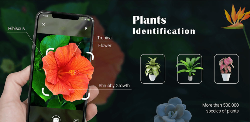 Plant Identification v1.9 MOD APK (Premium Unlocked) Download