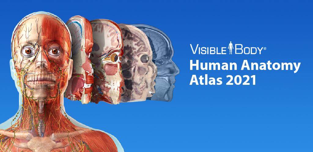Human Anatomy Atlas 2023 v2023.03.000 APK + MOD (All Content Unlocked) Download